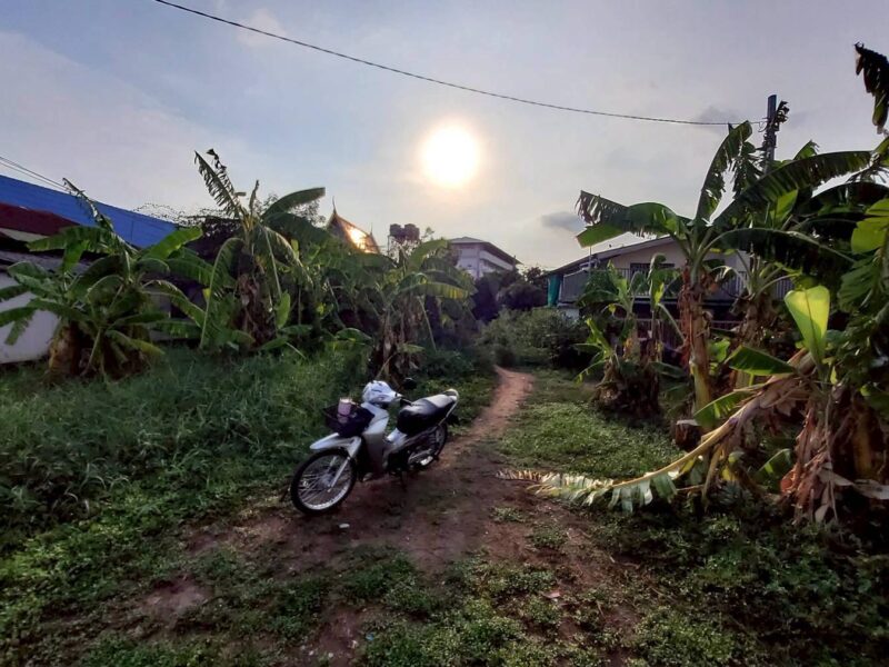 ขายที่ดินวิวแม่น้ำเจ้าพระยา 148 ตรว ติดถนนสาธารณะ ถมแล้ว ซ.วัดตาล บางตะไนย์ ปากเกร็ด นนทบุรี