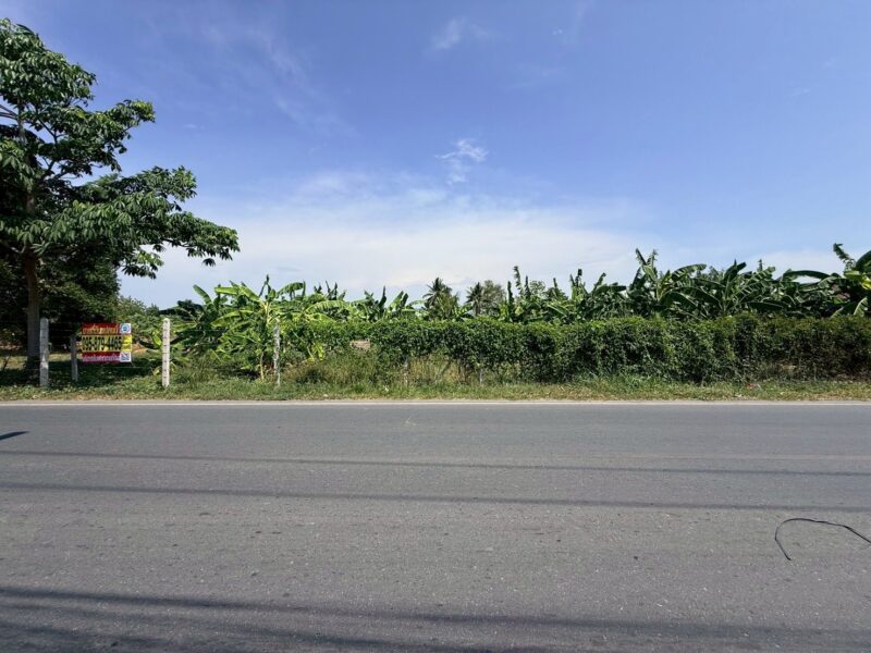 ขายด่วนที่ดินใกล้วัดอ้อมใหญ่ 367 ตรว ติดถนนสาธารณะ ซ.วัดเทียนดัด(อ้อมใหญ่ ) สามพราน นครปฐม