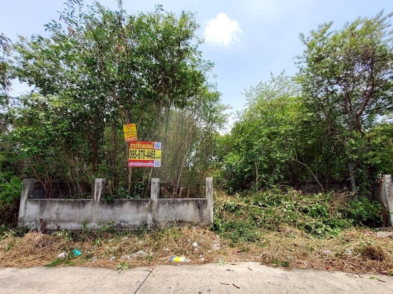 ขายด่วนที่ดินวิวคลอง 95 ตรว ติดถนนสาธารณะ คลองสี่ ซ.สุสวาส ธัญบุรี ปทุมธานี