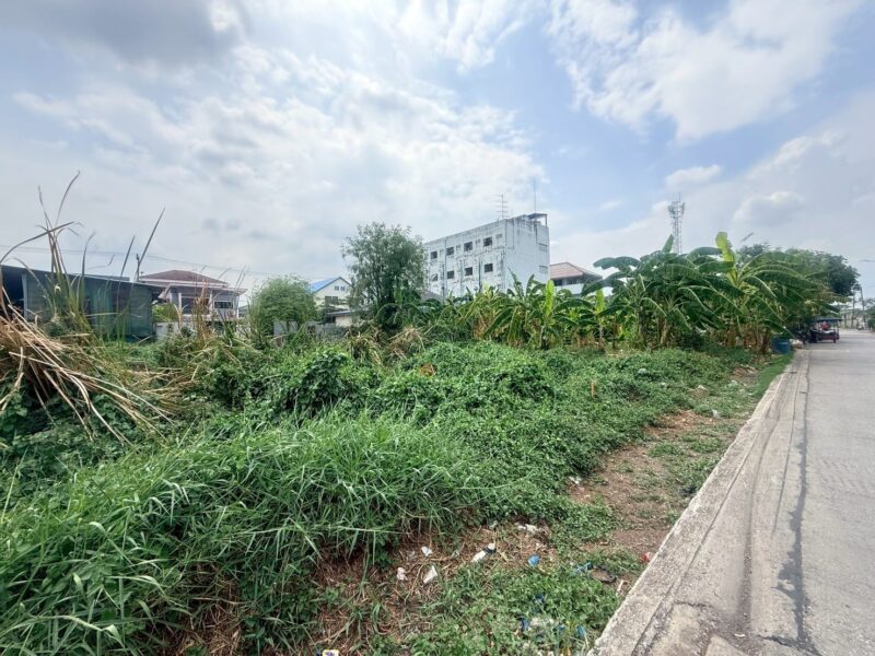 ขายด่วนที่ดินใกล้วัดแสงสรรค์ 140 ตรว ติดถนนสาธารณะ รังสิต-นครนายก 33 ธัญบุรี ปทุมธานี