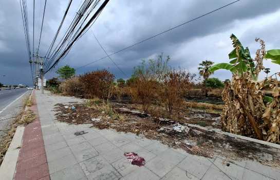 ขาย ที่ดิน ริมถนนปทุมธานี-บางประหัน เมืองปทุมธานี 110 ไร่ 1 งาน 66 ตรว เหมาะทำจัดสรร