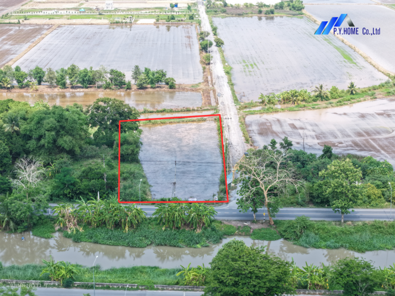 ขายที่ดิน 2-0-88 คลองสิบสอง หนองจอก