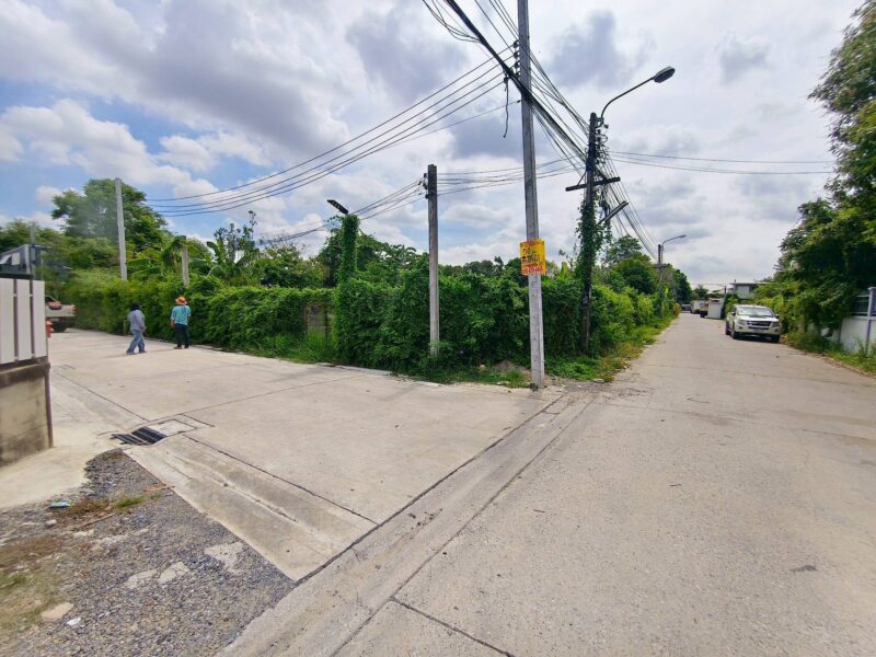 ขายด่วนที่ดินถนนติวานนท์ 50 ตรว ติดถนนคอนกรีต ถมแล้ว บางพูด ปากเกร็ด นนทบุรี