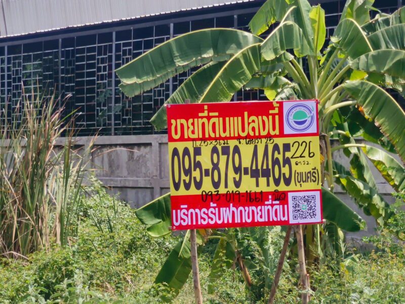 ขายถูกที่ดินใกล้ตลาดไท 226 ตรว ติดถนนคอนกรีตสาธารณะ ซ.ไอยรา 25 คลองหลวง ปทุมธานี