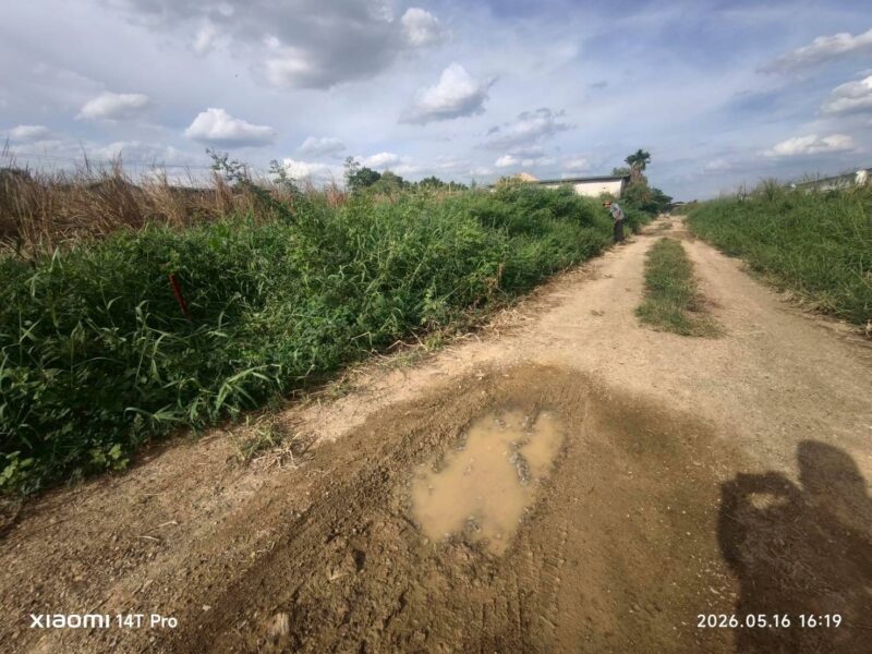 ขายด่วนที่ดินลำลูกกา 200 ตรว ติดถนนสาธารณะ ซ.ไสวประชาราษฎร์ 27 อ.ลำลูกกา จ.ปทุมธานี