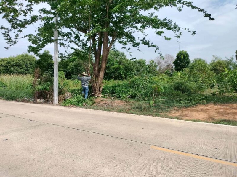ขายด่วนที่ดินใกล้วัดสโมสร 100 ตรว ติดถนนสาธารณะ ถมแล้ว บึงบอน7 หนองเสือ ปทุมธานี