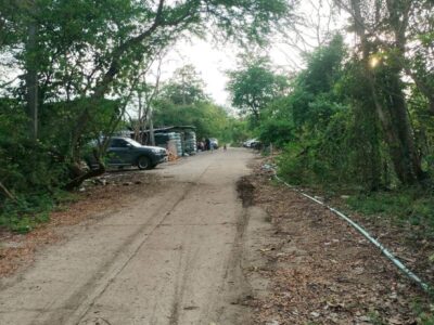 ขายด่วนที่ดิน 60 ตรว ติดถนนสาธารณะ คลอง 13 หนองสามวัง หนองเสือ ปทุมธานี