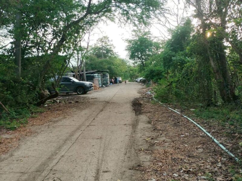 ขายด่วนที่ดิน 60 ตรว ติดถนนสาธารณะ คลอง 13 หนองสามวัง หนองเสือ ปทุมธานี
