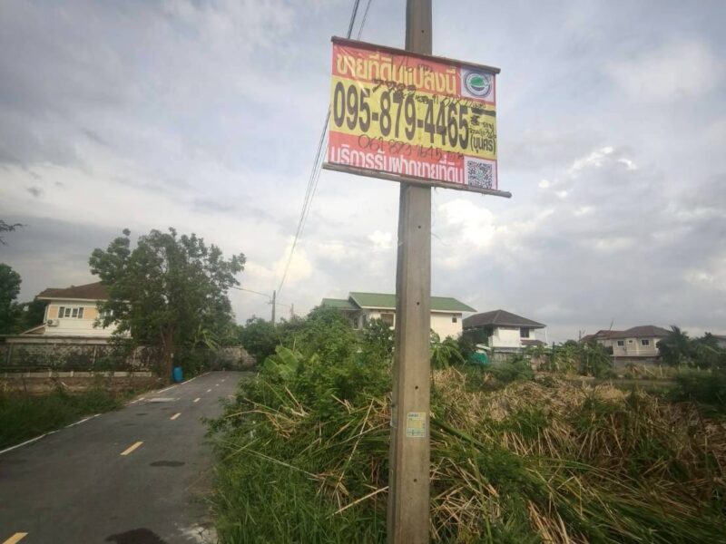 ขายด่วนที่ดิน 176 ตรว ติดถนนลาดยาง ซ.ร่วมสุข 3/6 เมืองปทุมธานี ปทุมธานี