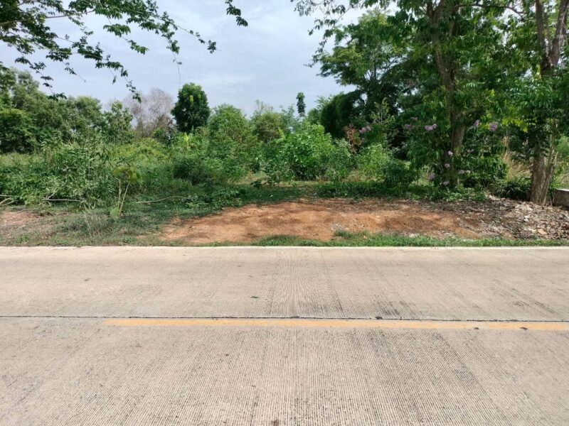 ขายด่วนที่ดินใกล้วัดสโมสร 100 ตรว ติดถนนสาธารณะ ถมแล้ว บึงบอน7 หนองเสือ ปทุมธานี