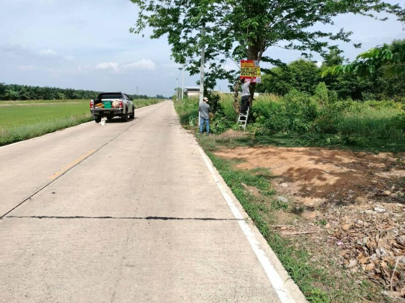ขายด่วนที่ดินใกล้วัดสโมสร 100 ตรว ติดถนนสาธารณะ ถมแล้ว บึงบอน7 หนองเสือ ปทุมธานี
