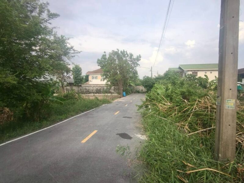 ขายด่วนที่ดิน 176 ตรว ติดถนนลาดยาง ซ.ร่วมสุข 3/6 เมืองปทุมธานี ปทุมธานี