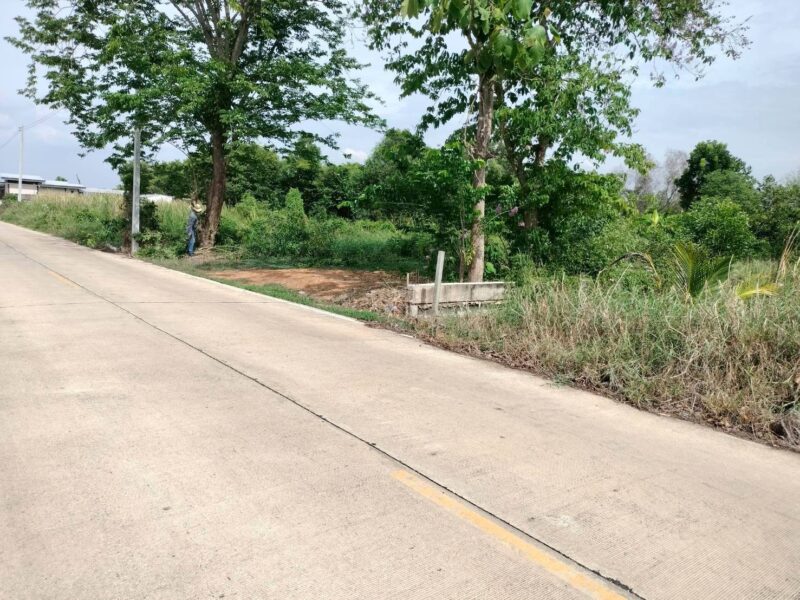 ขายด่วนที่ดินใกล้วัดสโมสร 100 ตรว ติดถนนสาธารณะ ถมแล้ว บึงบอน7 หนองเสือ ปทุมธานี