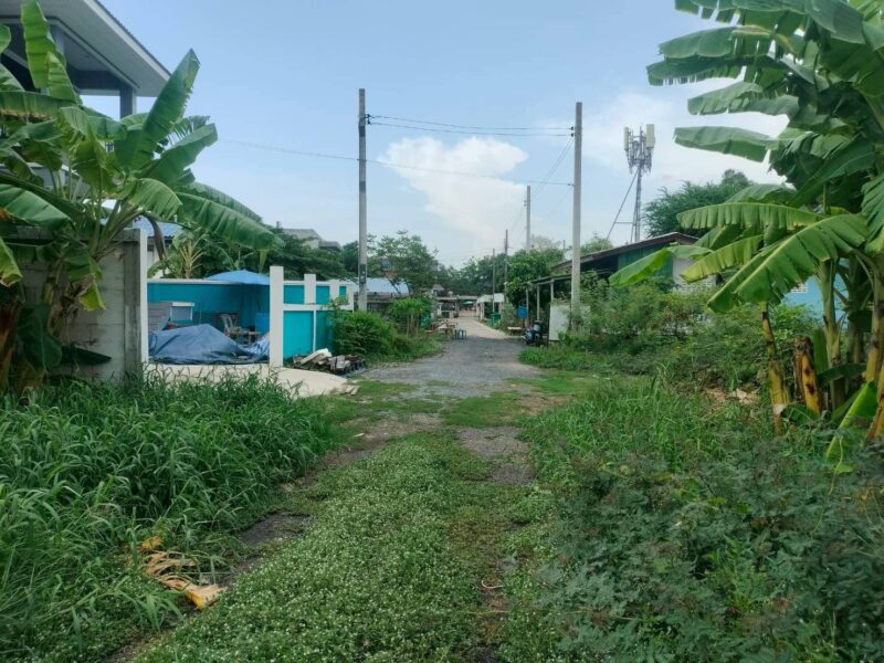 ขายที่ดินใกล้วัดราษฎร์รังสรรค์ 100 ตรว ติดถนนสาธารณะ ซ.เพชรหึ่ง บางกะเจ้า พระประแดง สมุทรปราการ