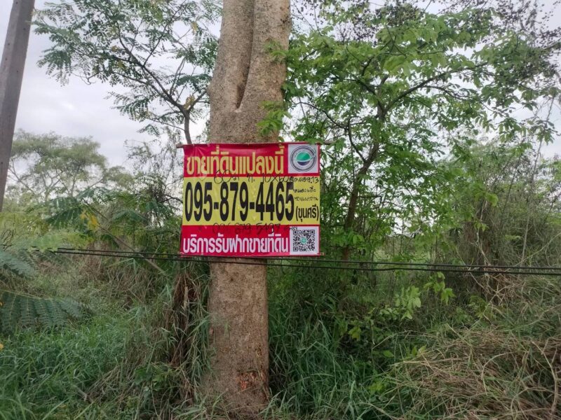 ขายด่วนที่ดิน 60 ตรว ติดถนนสาธารณะ คลอง 13 หนองสามวัง หนองเสือ ปทุมธานี