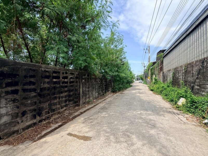 ขายด่วนที่ดิน 119 ตรว ติดถนนคอนกรีต ซ.เพชรเกษม 81 กระทุ่มแบน สมุทรสาคร