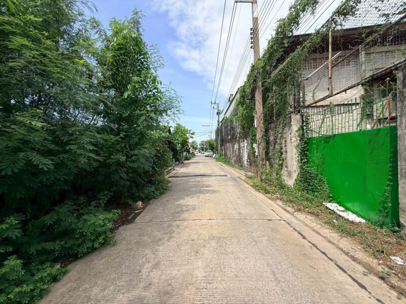ขายด่วนที่ดิน 119 ตรว ติดถนนคอนกรีต ซ.เพชรเกษม 81 กระทุ่มแบน สมุทรสาคร