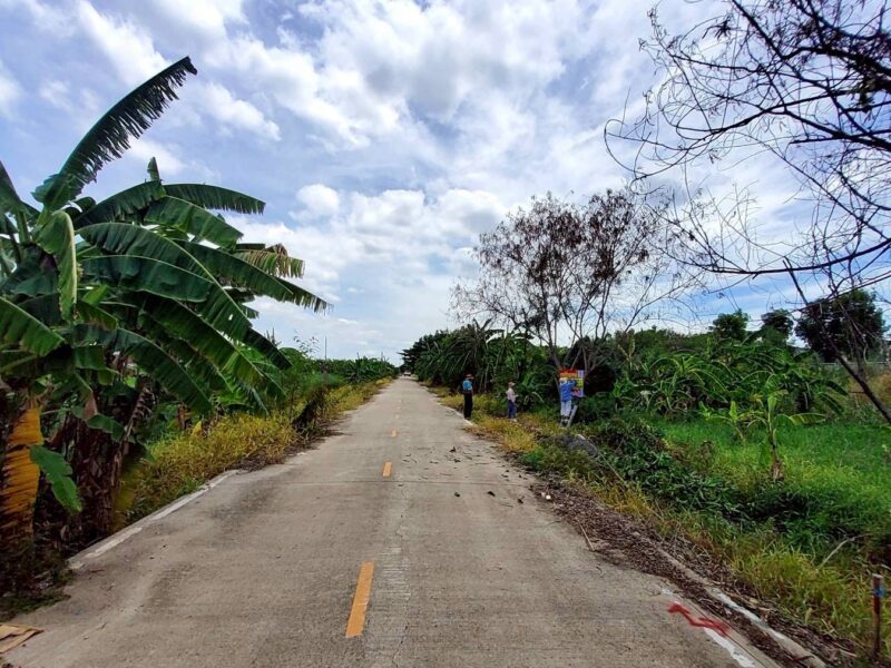 ขายถูกที่ดิน 163 ตรว ติดถนนคอนกรีต ซ.คนรักถิ่น ปากเกร็ด นนทบุรี