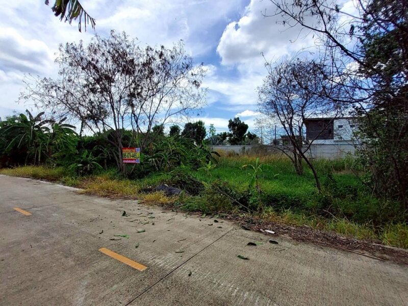ขายถูกที่ดิน 163 ตรว ติดถนนคอนกรีต ซ.คนรักถิ่น ปากเกร็ด นนทบุรี