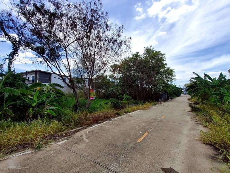 ขายถูกที่ดิน 163 ตรว ติดถนนคอนกรีต ซ.คนรักถิ่น ปากเกร็ด นนทบุรี
