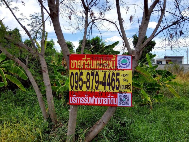ขายถูกที่ดิน 163 ตรว ติดถนนคอนกรีต ซ.คนรักถิ่น ปากเกร็ด นนทบุรี