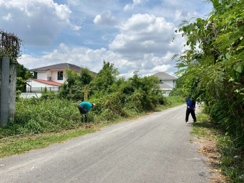 ขายด่วนที่ดินตลิ่งชัน 60 ตรว ติดถนนลาดยาง พุทธมณฑลสาย 3 ซอย 19 แยก 5-2