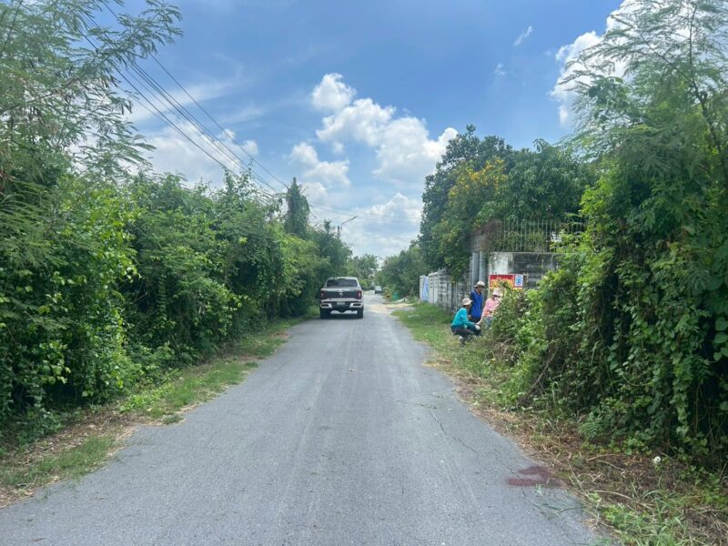 ขายด่วนที่ดินตลิ่งชัน 60 ตรว ติดถนนลาดยาง พุทธมณฑลสาย 3 ซอย 19 แยก 5-2