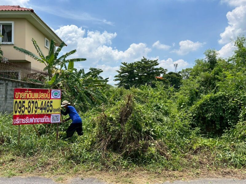 ขายด่วนที่ดินตลิ่งชัน 60 ตรว ติดถนนลาดยาง พุทธมณฑลสาย 3 ซอย 19 แยก 5-2