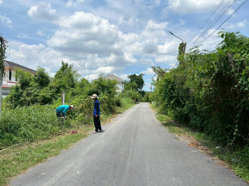 ขายด่วนที่ดินตลิ่งชัน 60 ตรว ติดถนนลาดยาง พุทธมณฑลสาย 3 ซอย 19 แยก 5-2