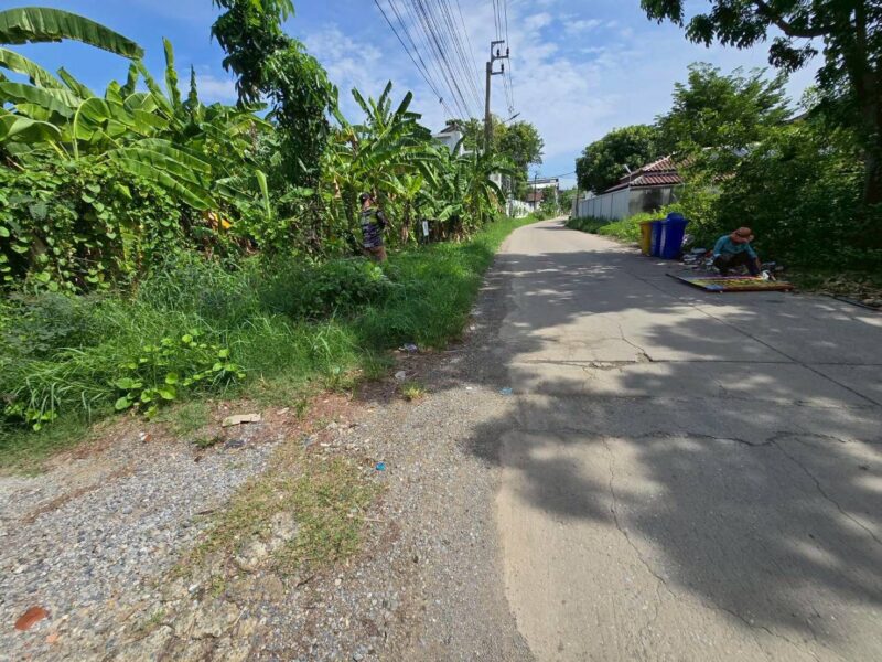 ขายด่วนที่ดินตลิ่งชัน 142 ตรว ติดถนนคอนกรีตสาธารณะ ถมแล้ว พุทธมณฑลสาย ๓ ซอย 22 กทม.