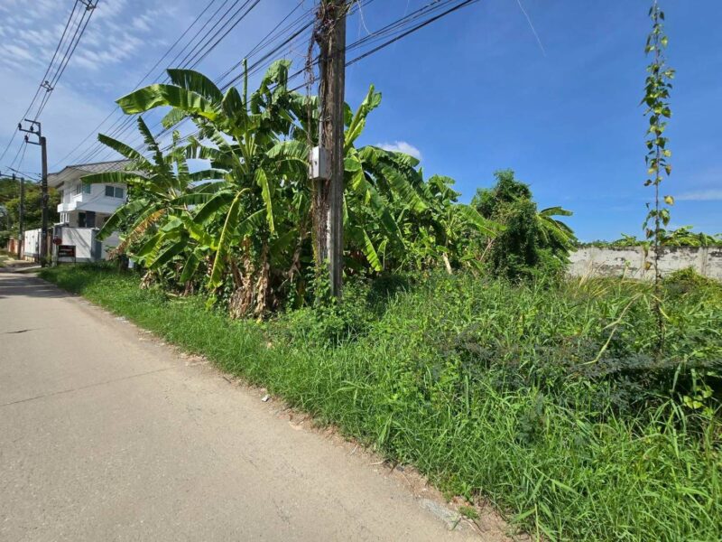 ขายด่วนที่ดินตลิ่งชัน 142 ตรว ติดถนนคอนกรีตสาธารณะ ถมแล้ว พุทธมณฑลสาย ๓ ซอย 22 กทม.