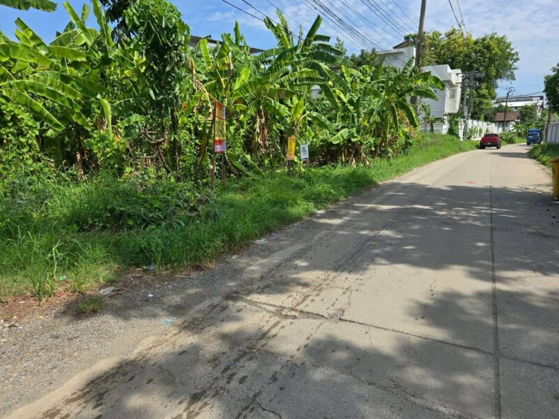 ขายด่วนที่ดินตลิ่งชัน 142 ตรว ติดถนนคอนกรีตสาธารณะ ถมแล้ว พุทธมณฑลสาย ๓ ซอย 22 กทม.