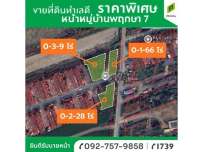 ขายที่ดิน 3 แปลงแบ่งขายได้ ทำเลดี