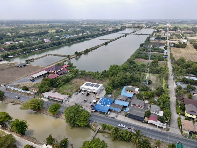 ขายที่ดินคลองหลวง ปทุมธานี ทำเลดี ใกล้วัดปัญญานันทาราม เนื้อที่ 1 ไร่