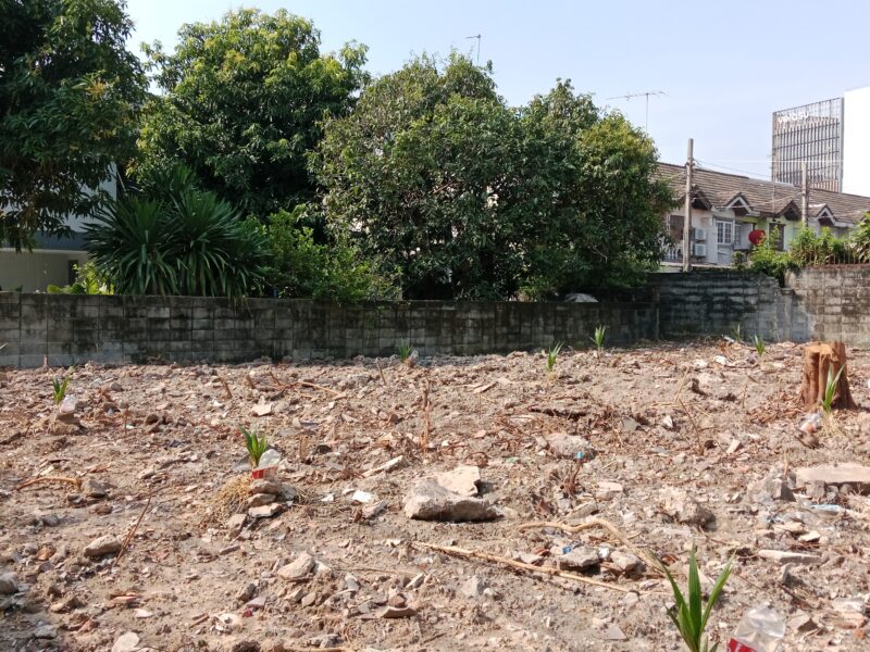 ขายที่ดิน 107 ตรว. หมู่บ้านเมืองทอง ซอยแจ้งวัฒนะ-ปากเกร็ด 29 ห่างถนนแจ้งวัฒนะเพียง 250 เมตร