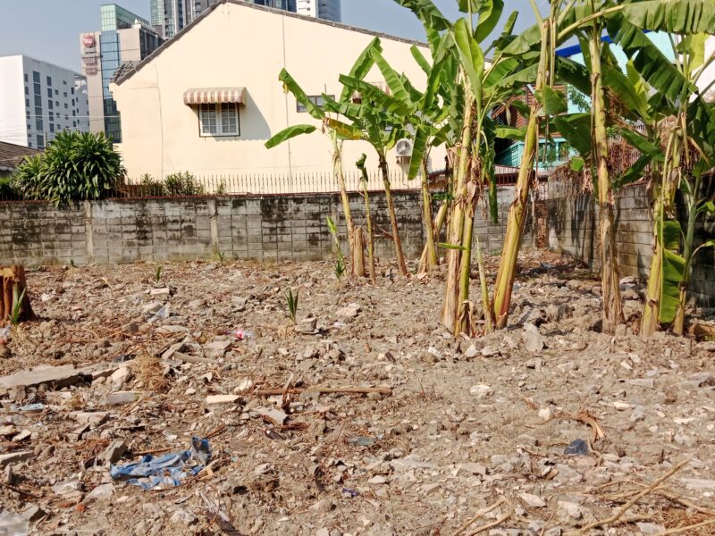 ขายที่ดิน 107 ตรว. หมู่บ้านเมืองทอง ซอยแจ้งวัฒนะ-ปากเกร็ด 29 ห่างถนนแจ้งวัฒนะเพียง 250 เมตร