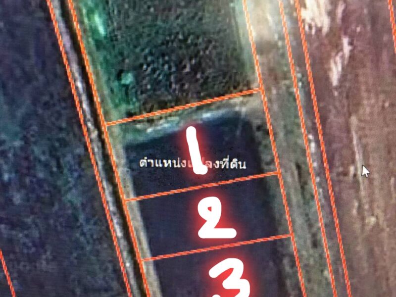 ขายที่ดิน 1 ไร่ ถนนคลอง 23 ต.ศีรษะกระบือ อ. องครักษ์ จ. นครนายก เข้าซอยที่แยกจากถนนคลอง 23 ไปเพียง 400 เมตร