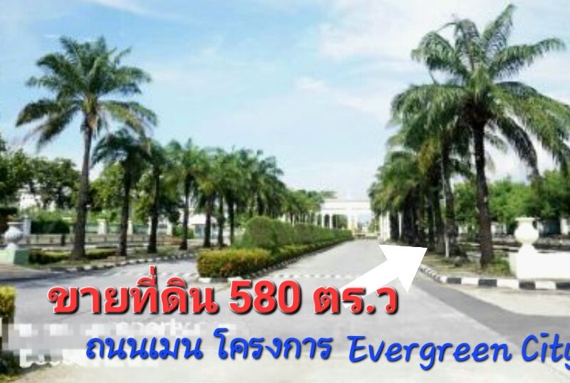 ขายที่ดิน ในโครงการ เอเวอร์กรีน ซิตี้ บางแค(ติดถนนกาญจนาภิเษก) ใกล้รถไฟฟ้าMRT หลักสอง-เดอะมอลล์บางแค
