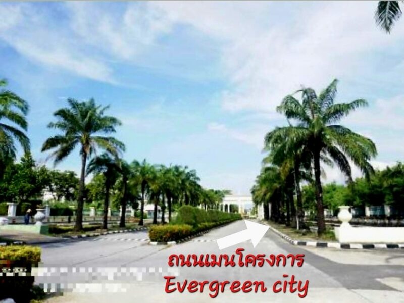ขายที่ดิน 1-1-80ไร่ ติดถนนเมนโครงการ เอเวอร์กรีน ซิตี้ บางแค(ติดถนนกาญจนาฯ) ใกล้รถไฟฟ้าMRT หลักสอง-เดอะมอลล์บางแค