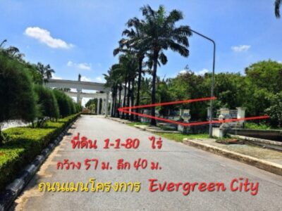 《ยินดีรับนายหน้า》ขายที่ดิน1-1-80 ไร่ ติดถนนเมนโครงการ ใกล้รถไฟฟ้า MRTหลักสอง เดอะมอลล์บางแค