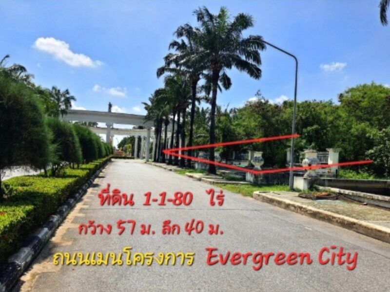 《ยินดีรับนายหน้า》ขายที่ดิน1-1-80 ไร่ ติดถนนเมนโครงการ ใกล้รถไฟฟ้า MRTหลักสอง เดอะมอลล์บางแค
