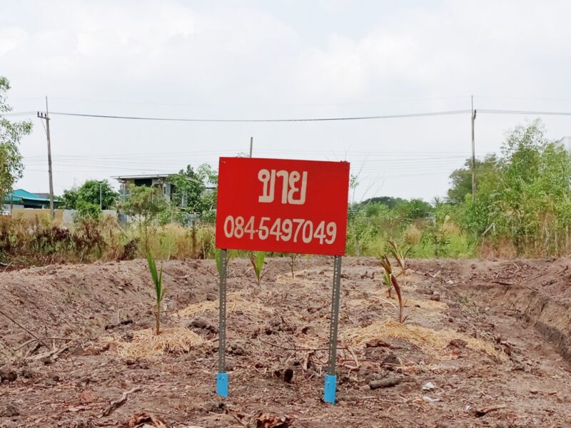 ขายที่ดิน 120 ตรว. เวิลด์คลับแลนด์ โครงการ 3 ต. คลองสี่ อ. คลองหลวง จ. ปทุมธานี เข้าซอยคลองหลวง 10 ไปเพียง 150 เมตร
