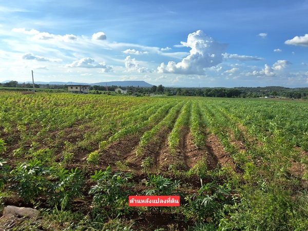 ขายที่ดินโฉนด 12.5 ไร่ ต.หินซ้อน อ.แก่งคอย จ.สระบุรี บรรยากาศดี โทร 094-5276439