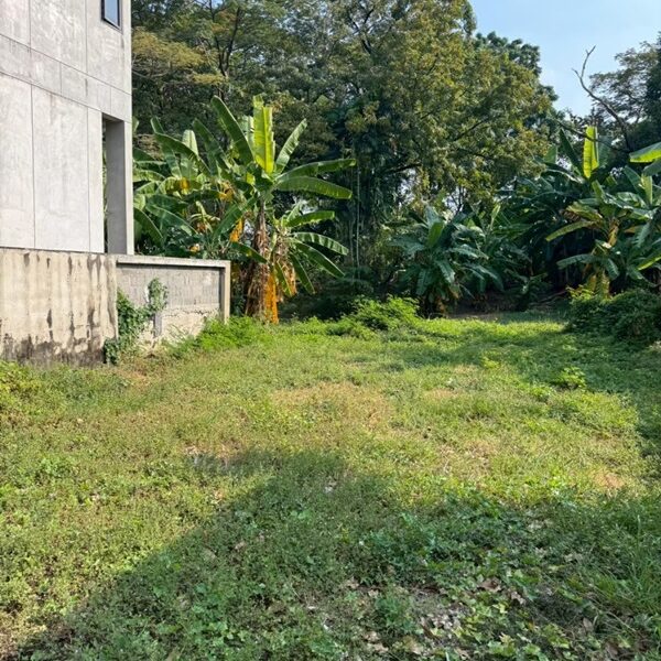 ขายที่ดิน 6 ไร่กว่า พหลโยธิน35 แยก19 ซ.สังข์ทอง 9 ใกล้เมเจอร์รัชโยธิน โทร 090-6360022