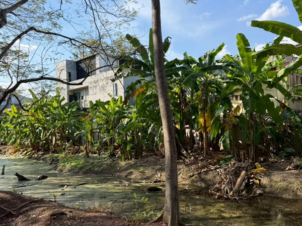 ขายที่ดิน 6 ไร่กว่า พหลโยธิน35 แยก19 ซ.สังข์ทอง 9 ใกล้เมเจอร์รัชโยธิน โทร 090-6360022