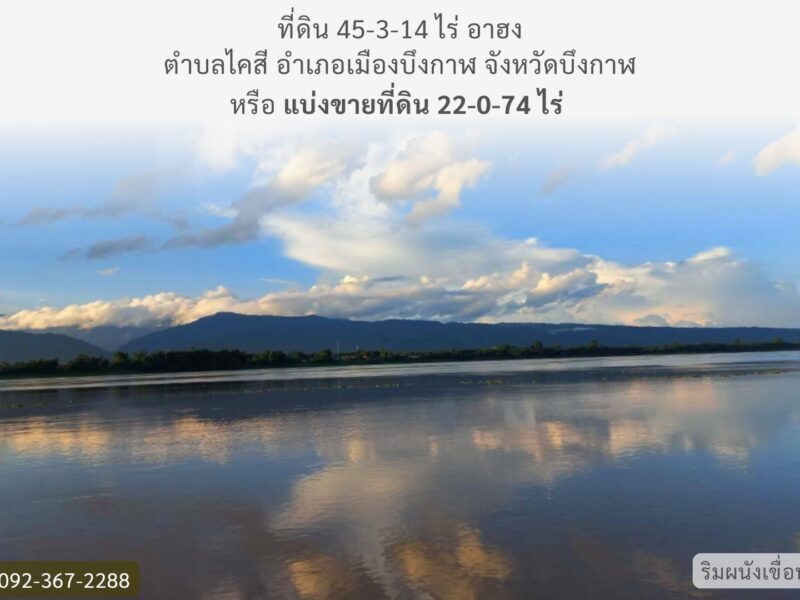 ที่ดินติดริมแม่น้ำโขง จังหวัดบึงกาฬ
