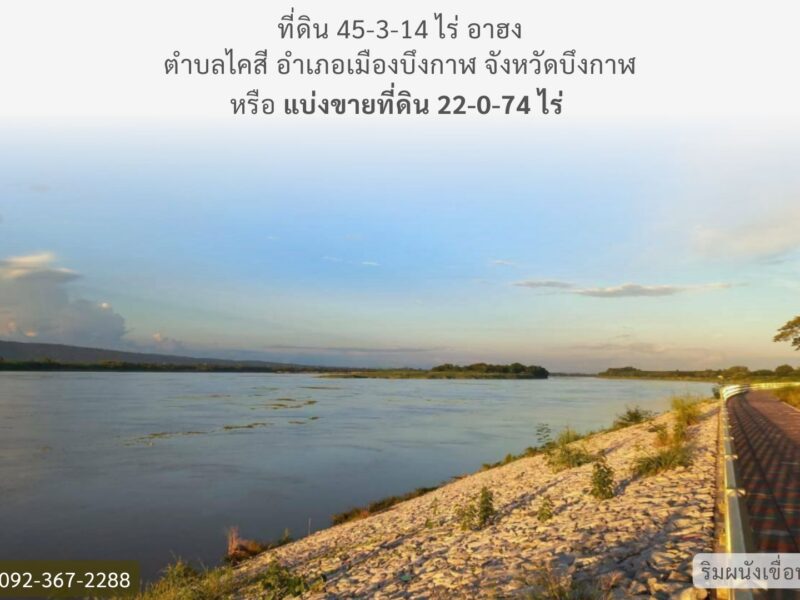 ที่ดินติดริมแม่น้ำโขง จังหวัดบึงกาฬ