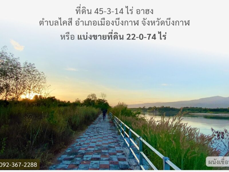 ที่ดินติดริมแม่น้ำโขง จังหวัดบึงกาฬ
