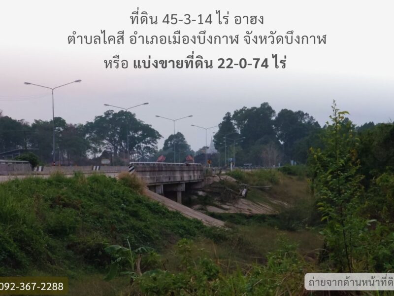 ที่ดินติดริมแม่น้ำโขง จังหวัดบึงกาฬ