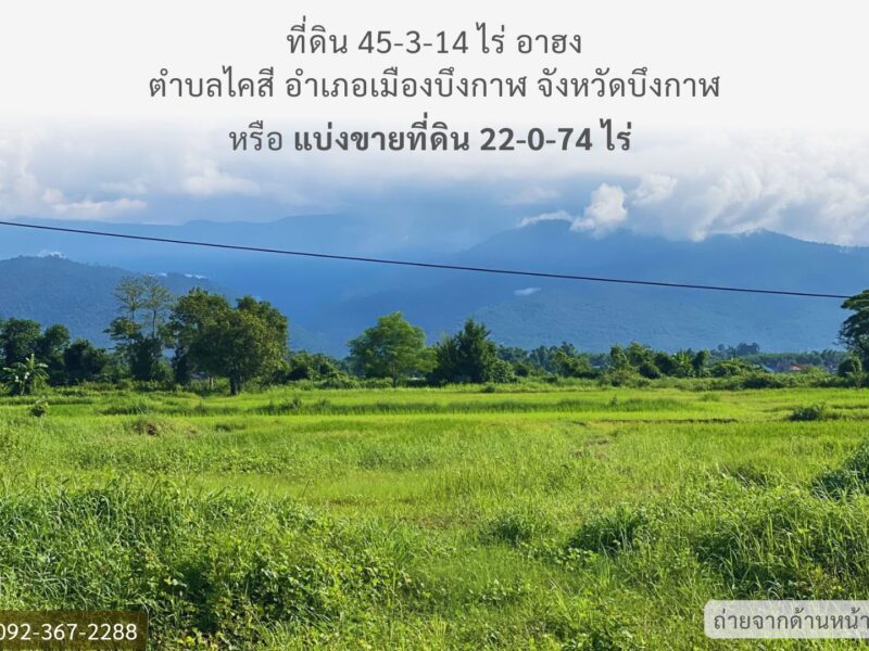 ที่ดินติดริมแม่น้ำโขง จังหวัดบึงกาฬ